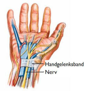 csm_muench_168b_Karpaltunnelsyn_39893d53ba